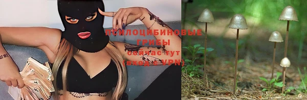 скорость Алексин