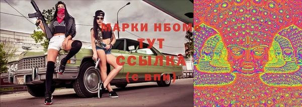 ГАЛЛЮЦИНОГЕННЫЕ ГРИБЫ Алзамай